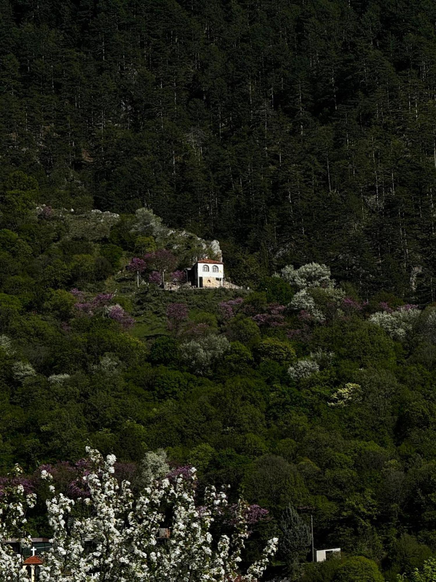 Mountain Serenity Konitsa Bagian luar foto