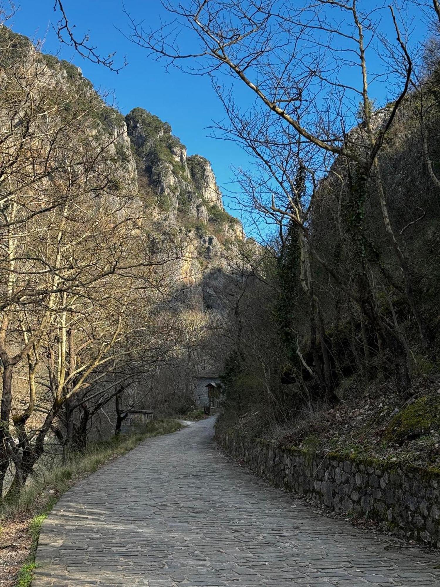 Mountain Serenity Konitsa Bagian luar foto